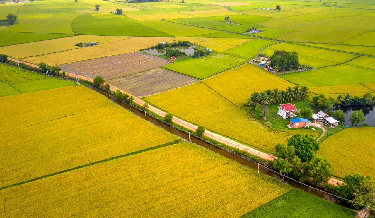 Aerial view showcasing picturesque countryside fields, winding road, and tranquil canal.