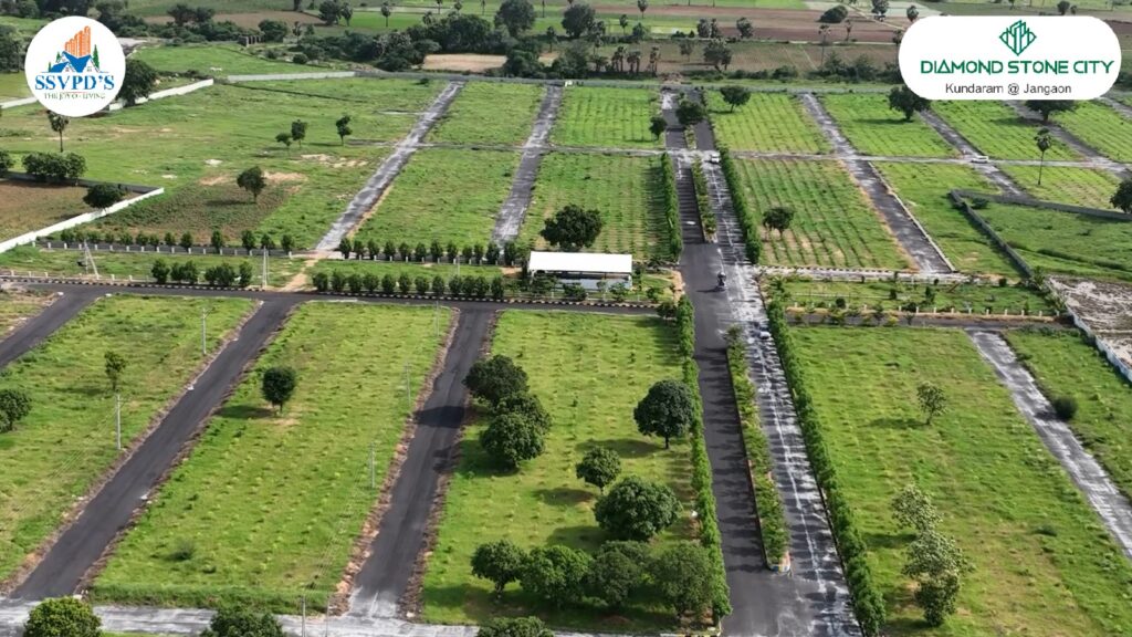 whatsapp image 2025 11 14 at 15.25.29 (1)